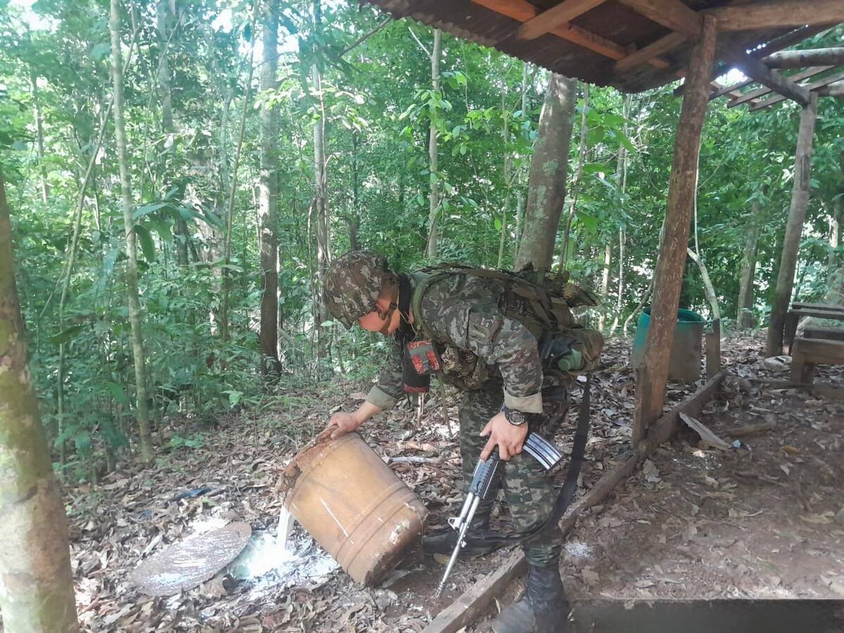 Destruyen seis laboratorios para el procesamiento de coca en Córdoba y Antioquia
