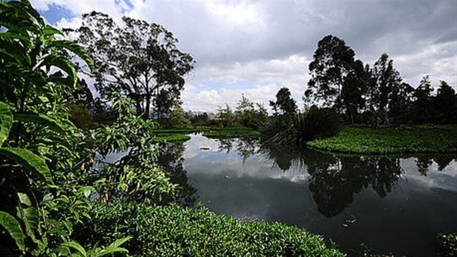 Reserva Thomas Van Der Hammen . Foto: Universidad Nacional