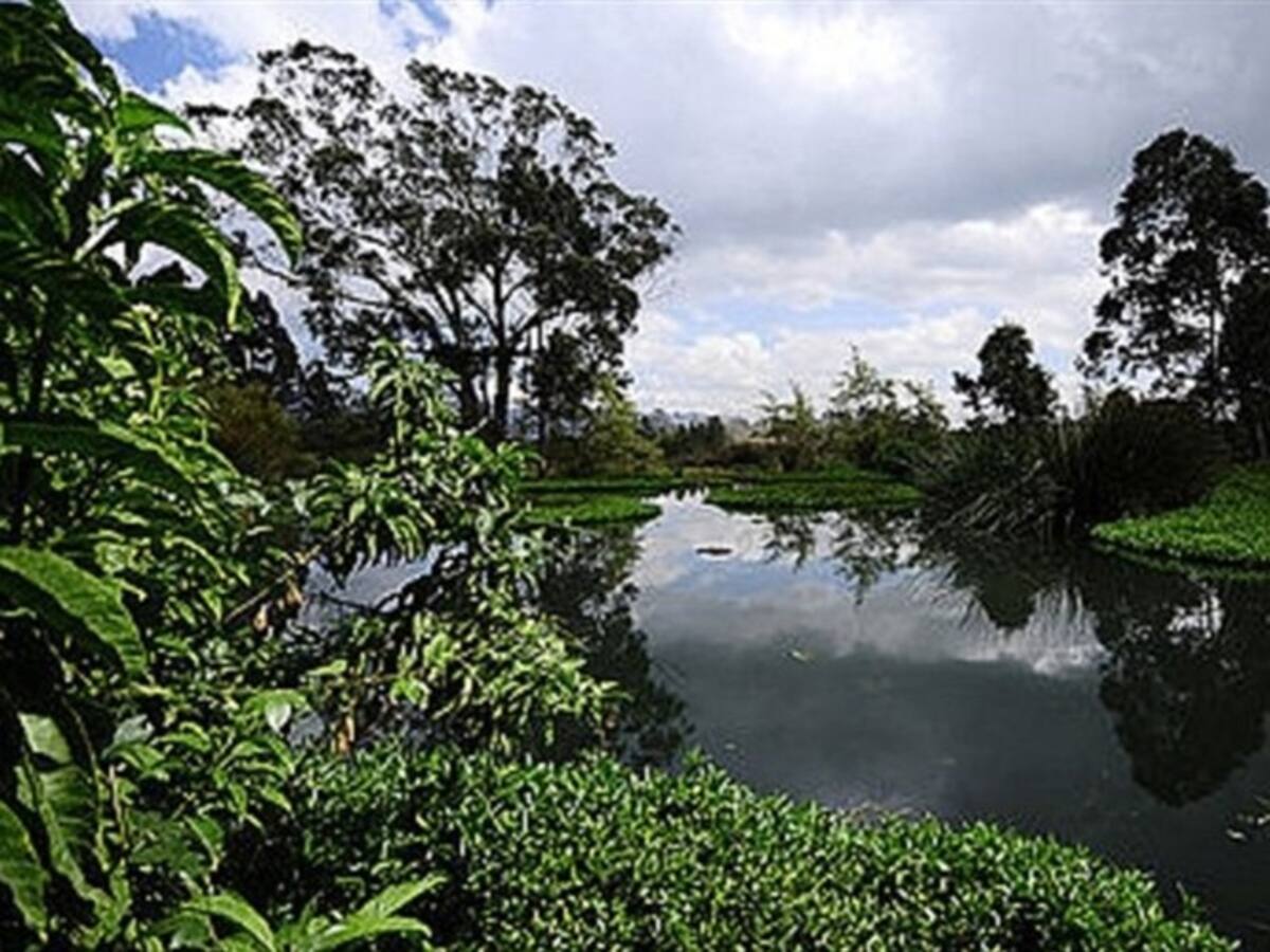 Nuevo POT mantiene intervención de la Thomas Van Der Hammen