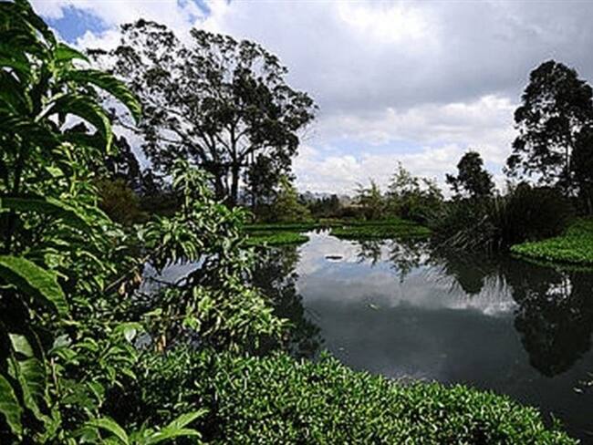 Reserva Thomas Van Der Hammen . Foto: Universidad Nacional