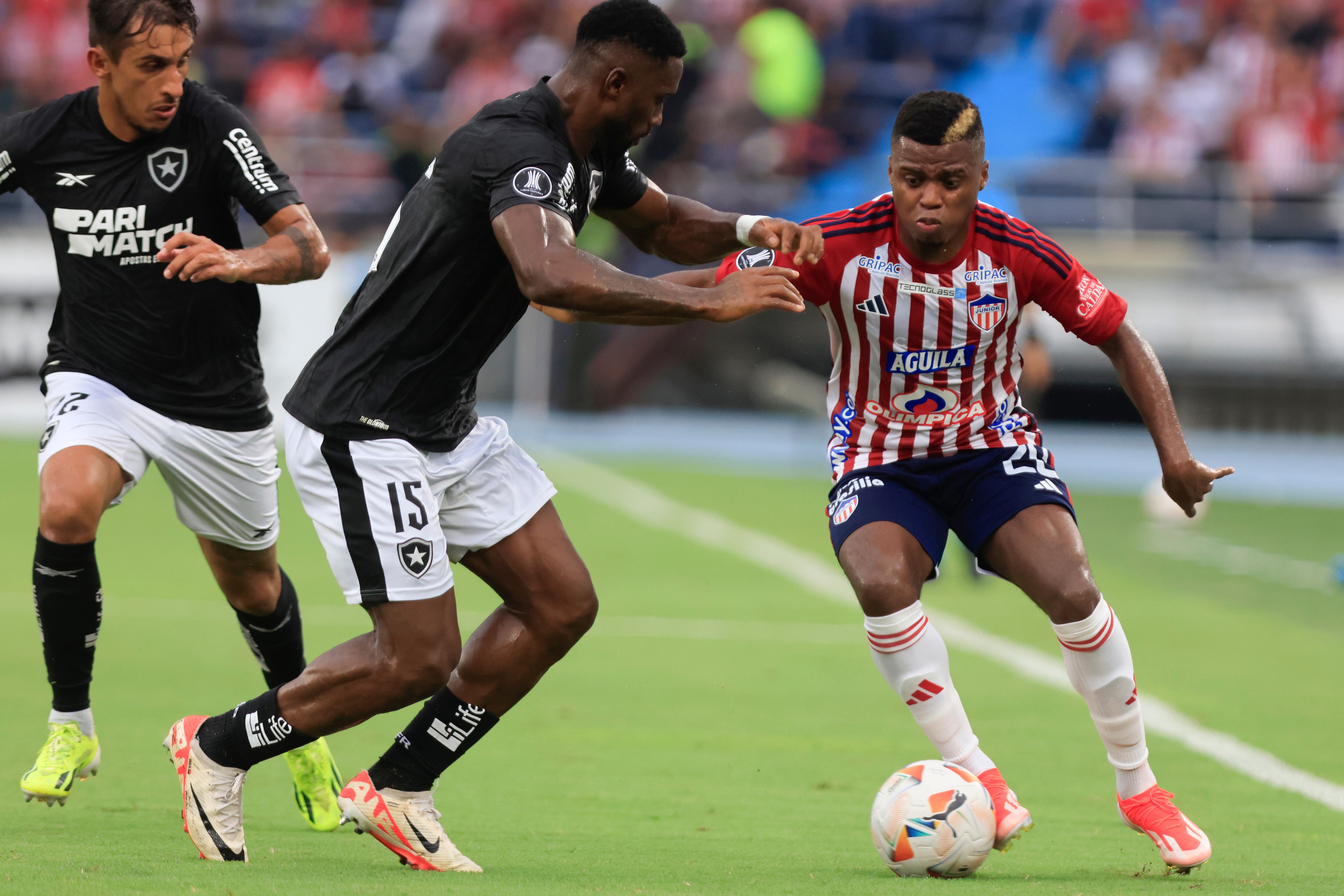 Junior vs. Botafogo. Foto: EFE.