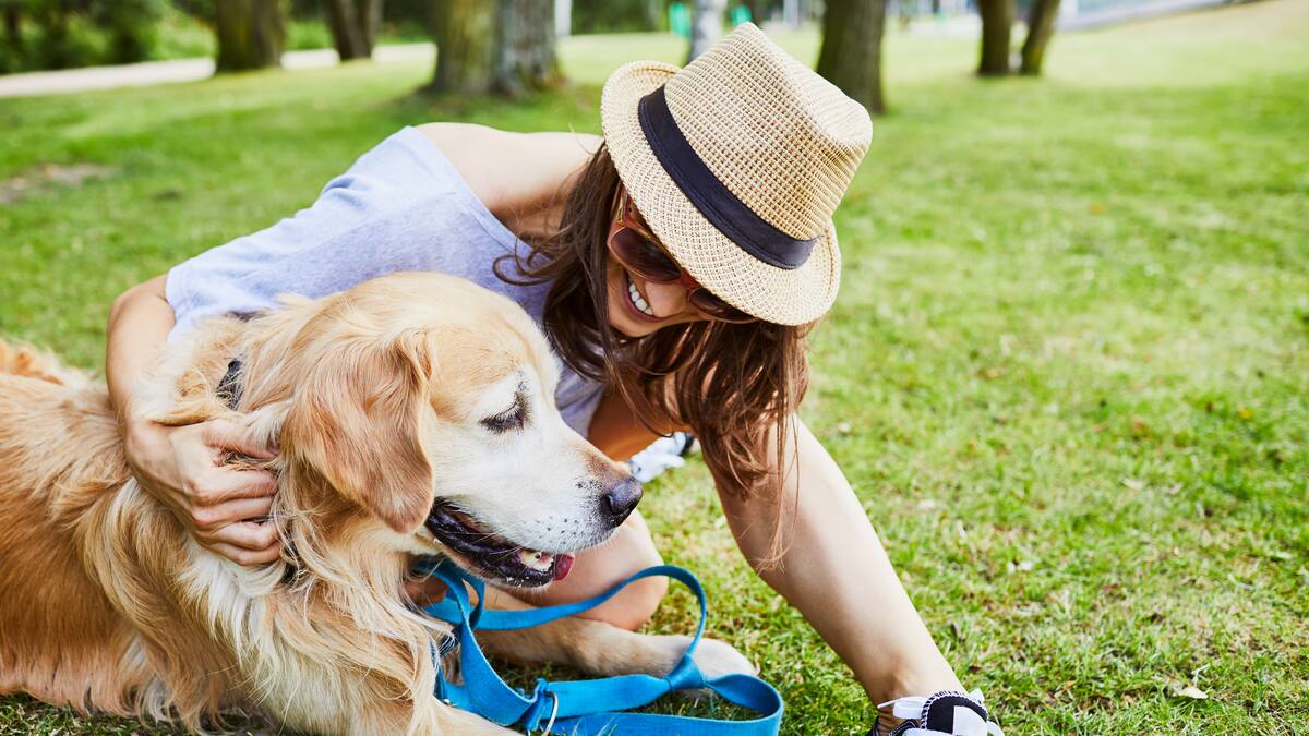 ParchaDogs, el festival para mascotas que busca incentivar el buen trato animal