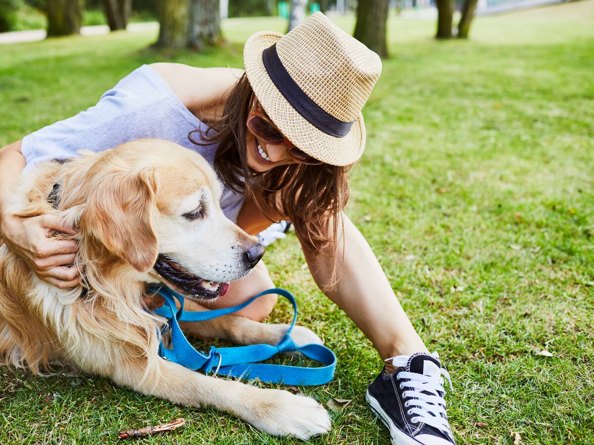 ParchaDogs, el festival para mascotas que busca incentivar el buen trato animal