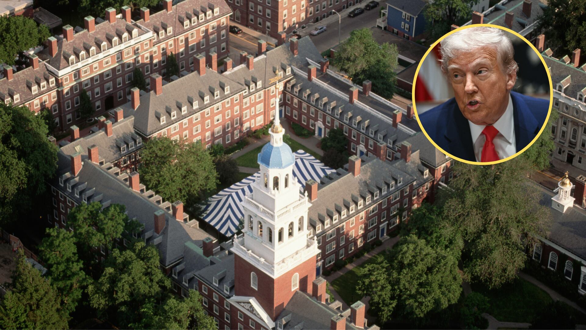 Universidad de Harvard - Donald Trump. Foto: BRENDAN SMIALOWSKI/AFP via Getty Images.
