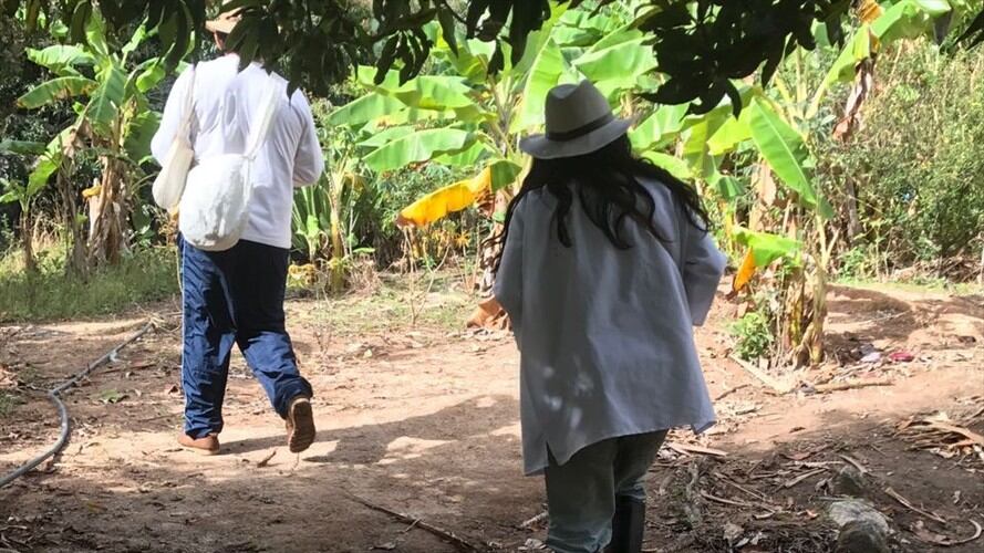 Grupo armado desplazó a autoridades indígenas Koguis en la Sierra Nevada. Foto: Colprensa