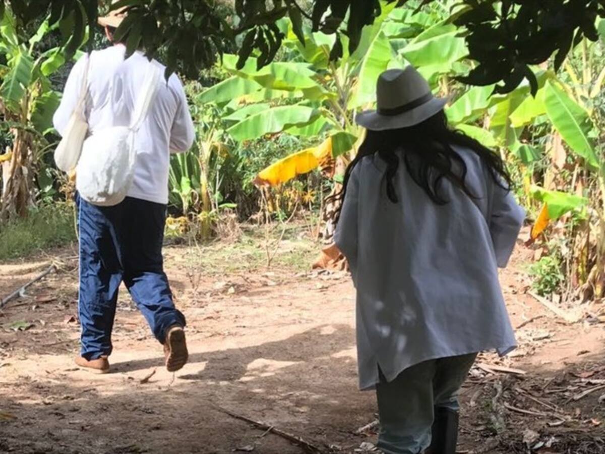 ACSN dicen que no tienen en su poder al indígena Kogui desaparecido en la Sierra Nevada