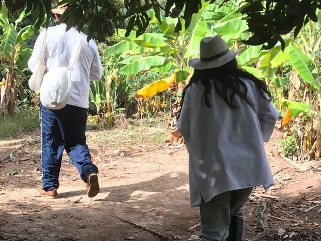 Grupo armado desplazó a autoridades indígenas Koguis en la Sierra Nevada. Foto: Colprensa