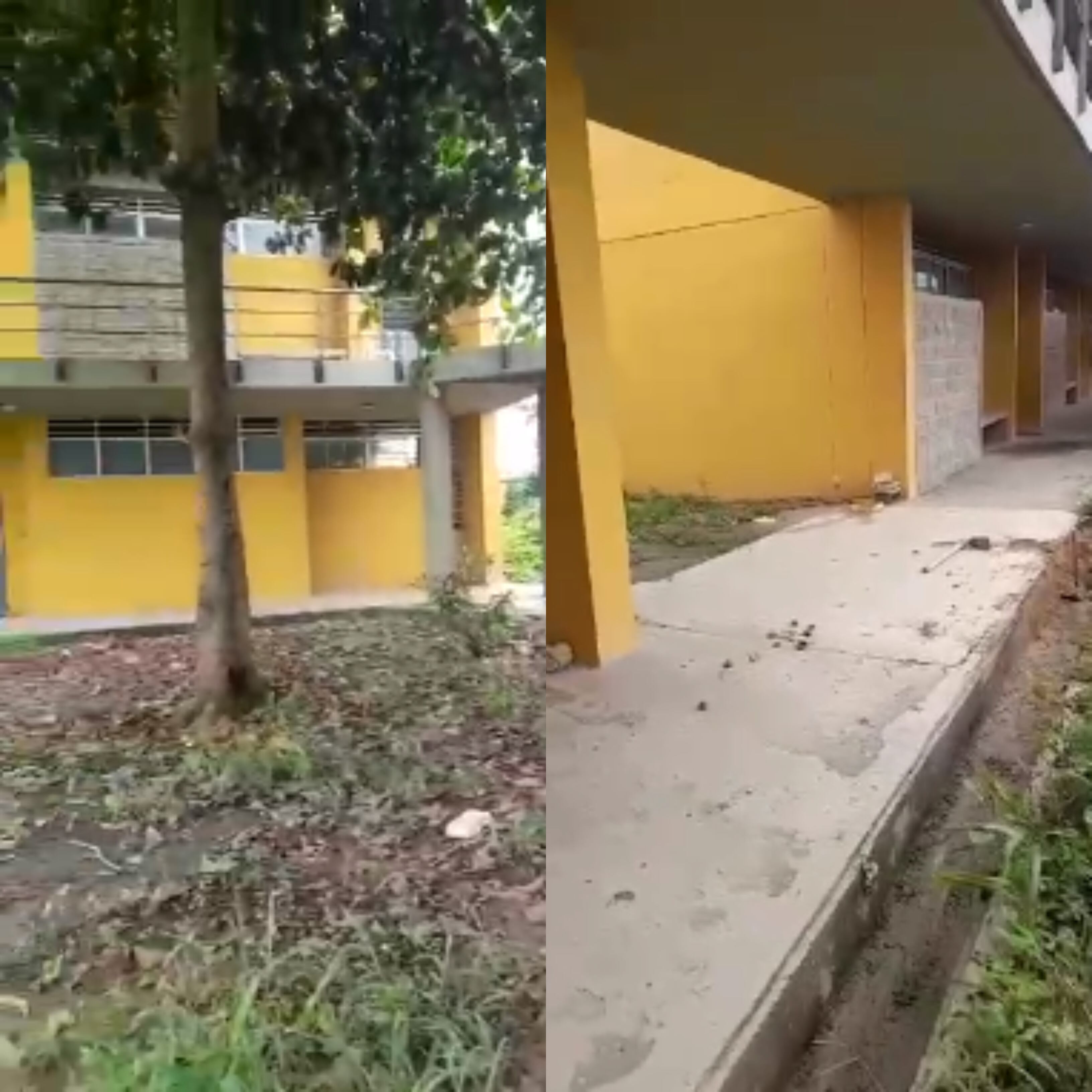 Elefante Blanco: el colegio inconcluso que se está comiendo la maleza. Foto: Cortesía