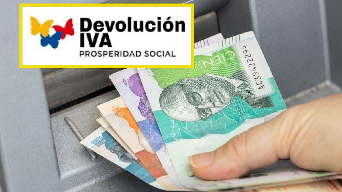Devolución del IVA: ¿Cómo saber si soy beneficiario para el pago del ciclo 5 y 6?