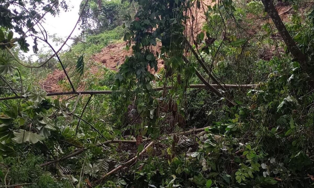 Caldas. Crédito: Secretaría de Medio Ambiente de Caldas.