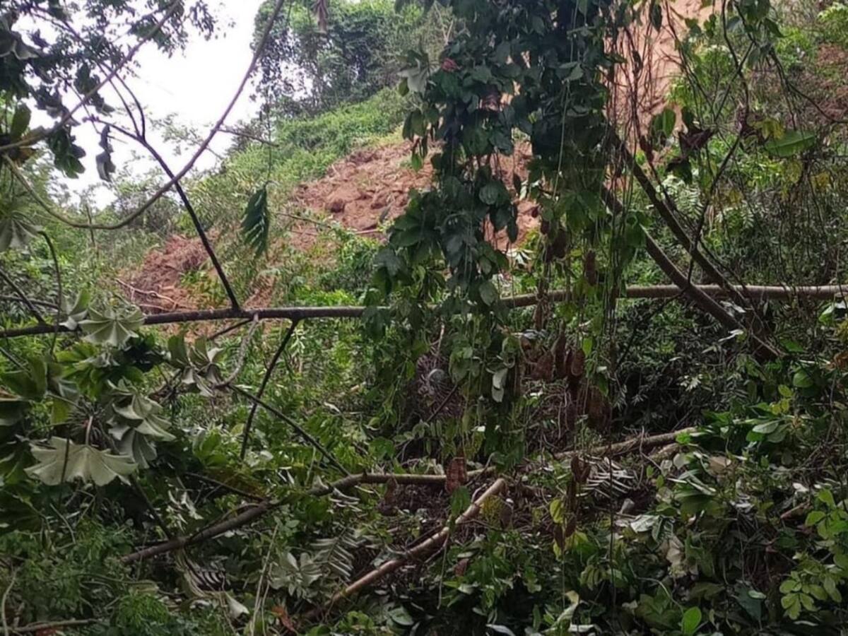 Derrumbe de grandes proporciones bloquea la vía Salamina - Aranzazu en Caldas