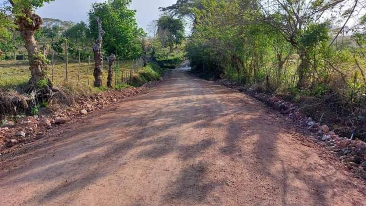 Anuncian recompensa que permita captura de responsables de masacre en Córdoba