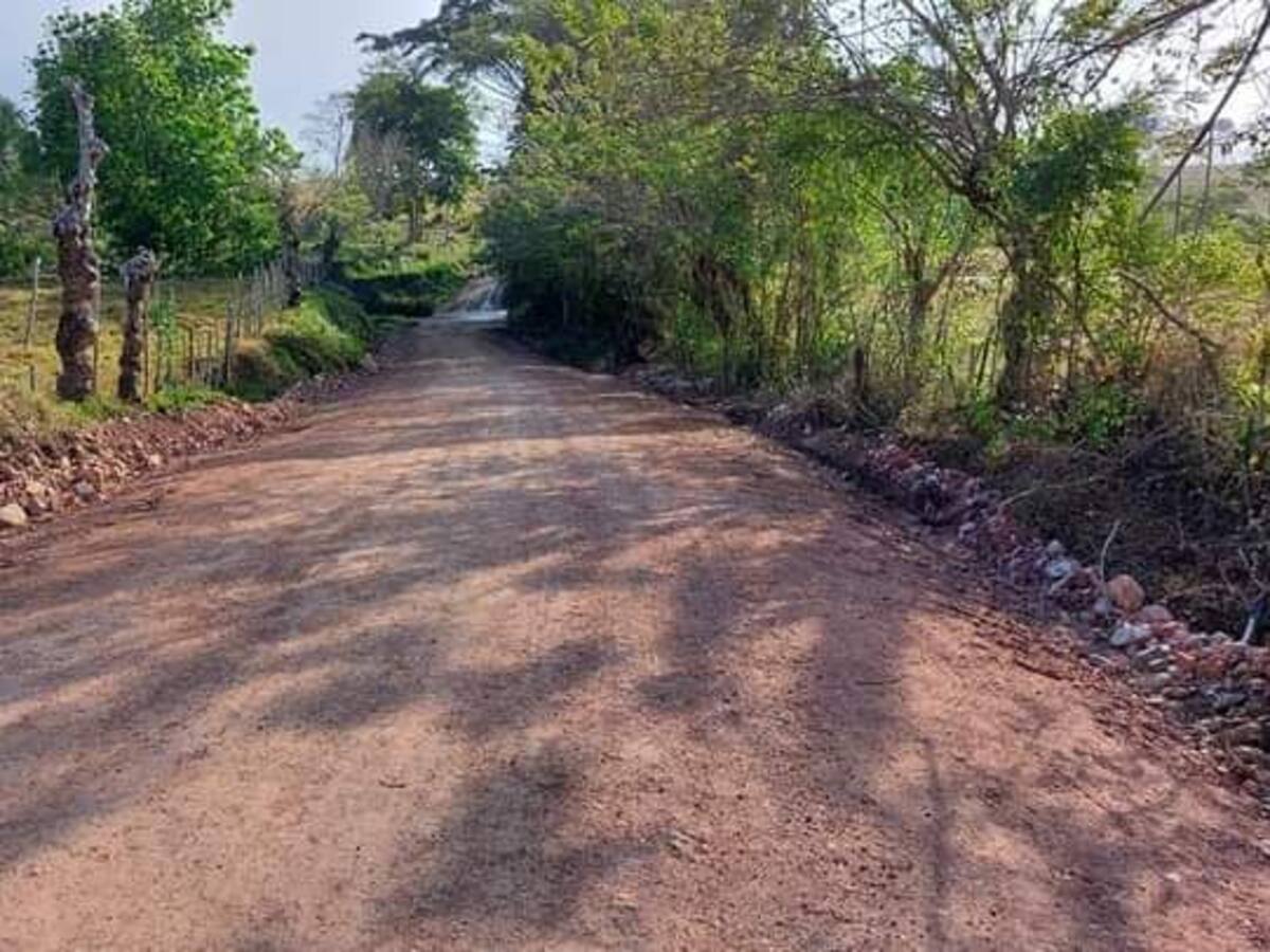 Anuncian recompensa que permita captura de responsables de masacre en Córdoba