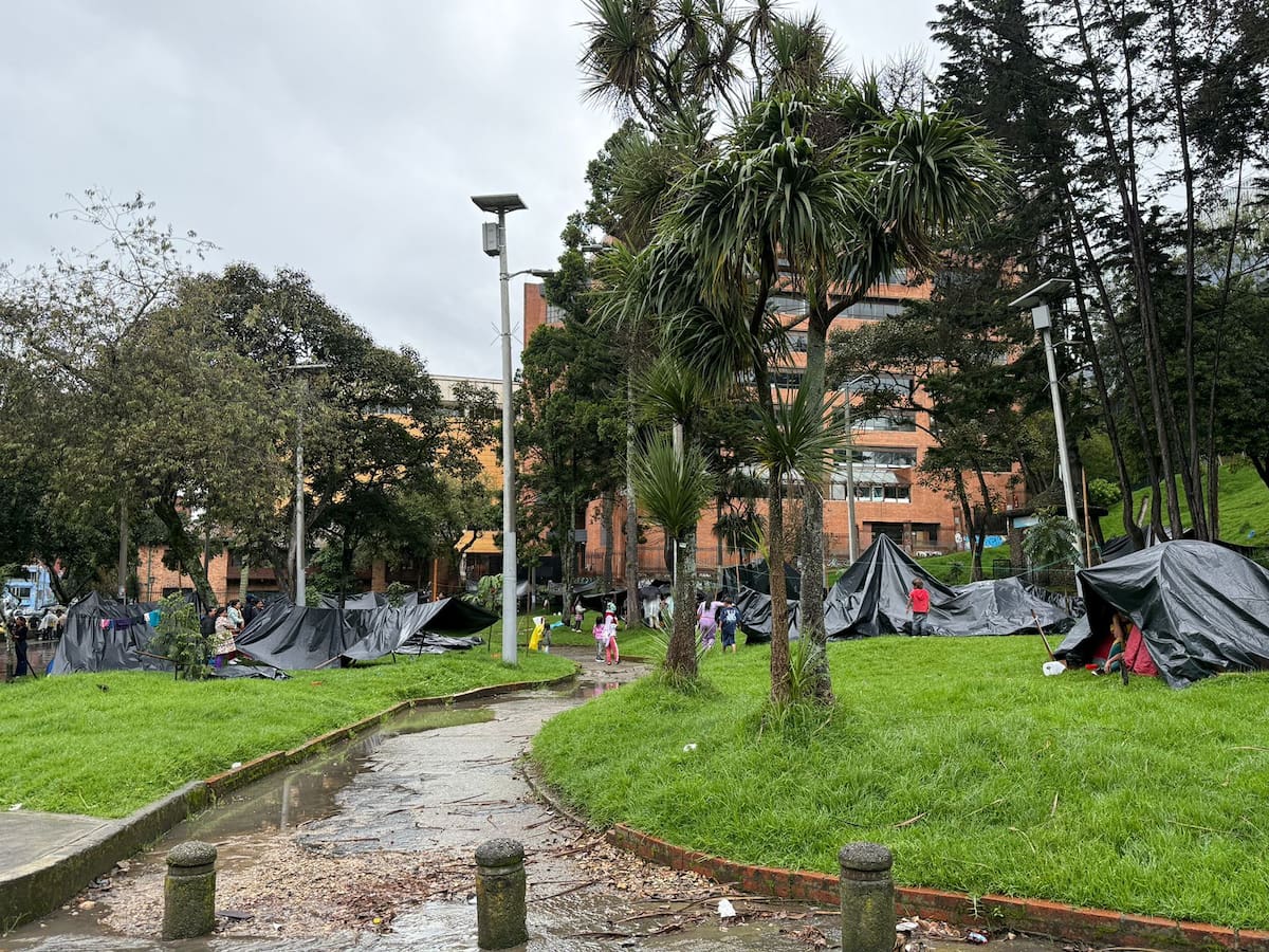 Hasta $30 millones exige vocero de indígenas Emberá para irse del Parque Nacional, dice Alcaldía