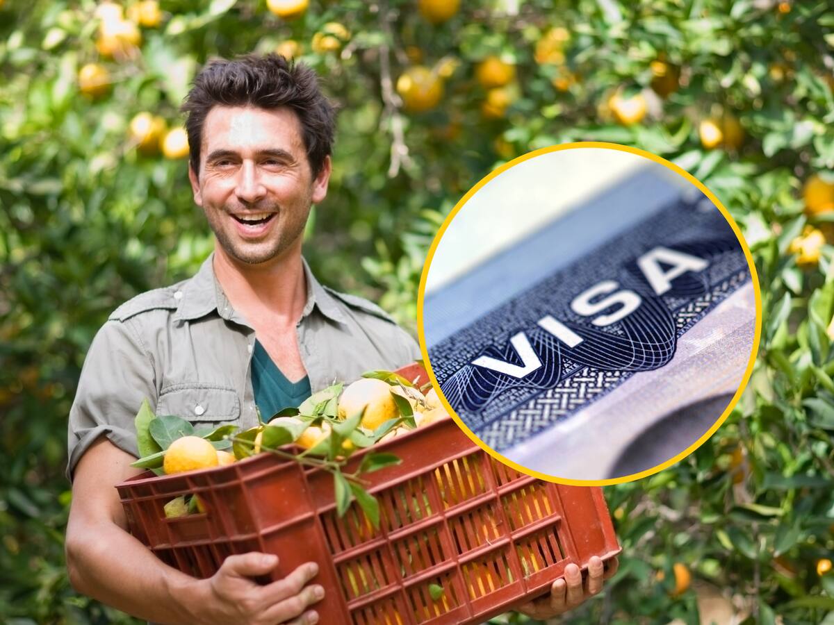 ¿Cómo obtener la visa H-2A? Es para que trabajadores del campo trabajen y vivan en EE.UU, postúlese