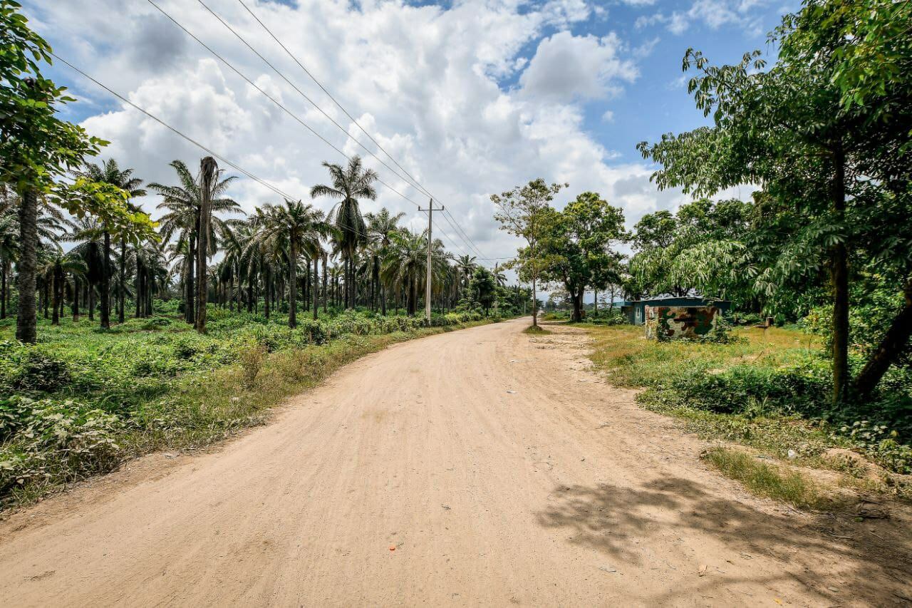 Vía Zona Bananera - Pueblo Viejo/ Gobernación del Magdalena