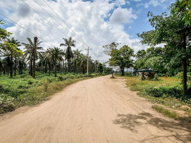 Vía Zona Bananera - Pueblo Viejo/ Gobernación del Magdalena
