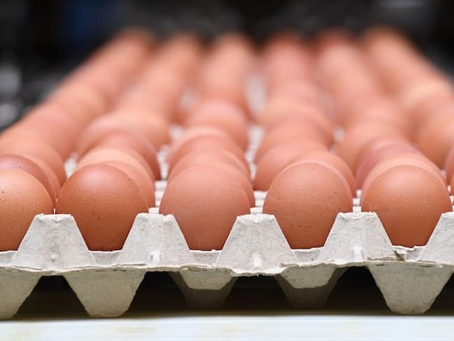 Se logró la incautación de 3.580 unidades de huevos de contrabando. Foto: Getty Images