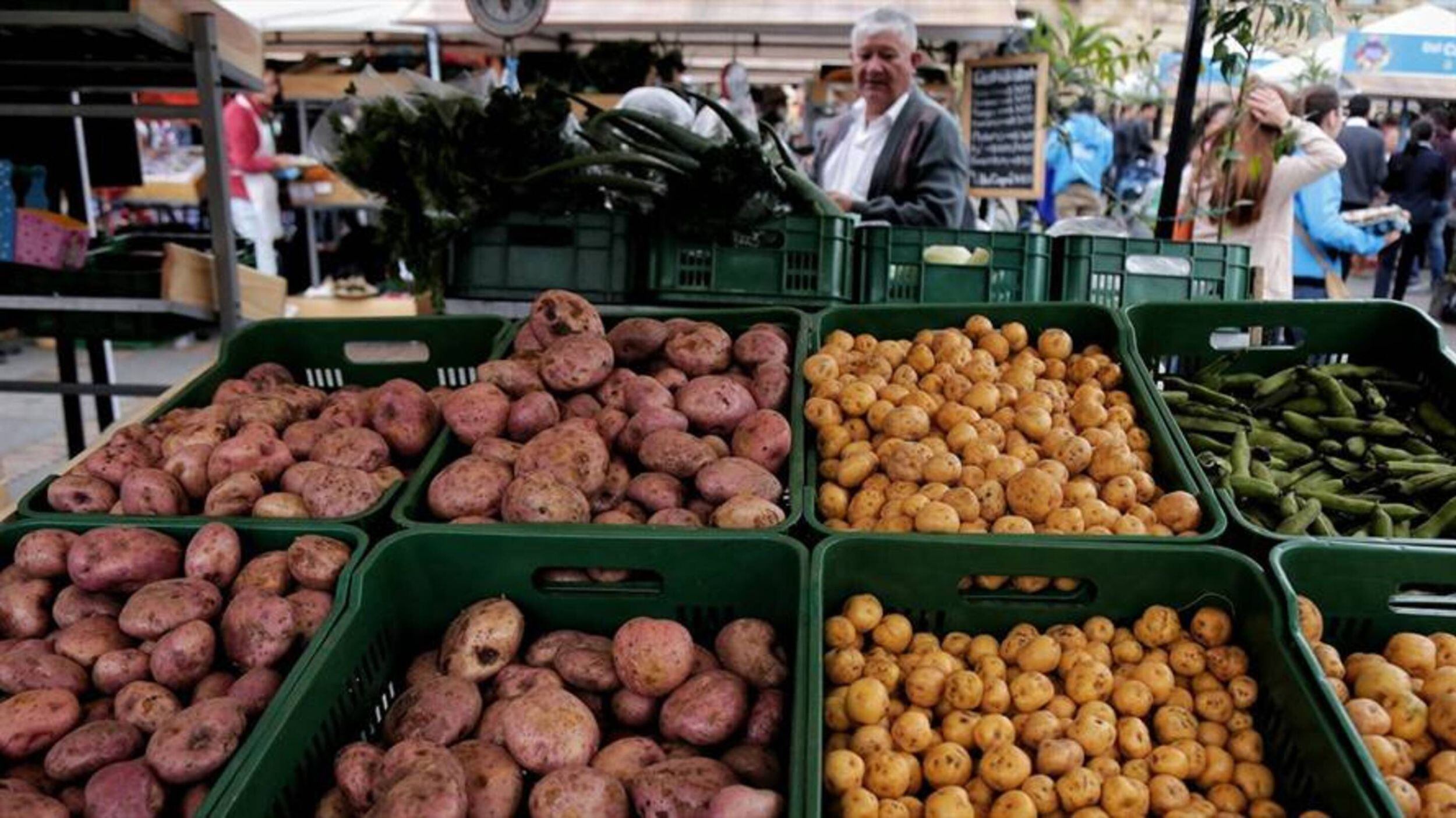 Imagen de referencia. Foto: Colprensa(Thot)