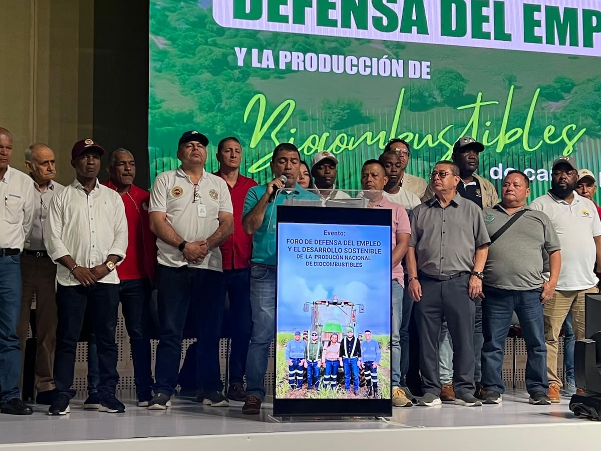 Sindicatos del sector cañero advierten que nueva fórmula del etanol los dejará sin empleo