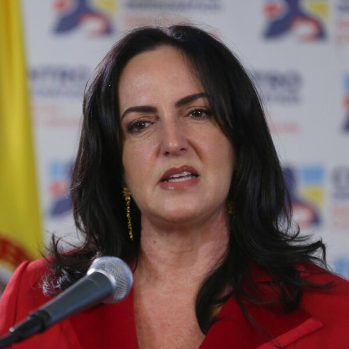 La memoria de Colombia fue usurpada por la izquierda y progresismo: senadora Cabal