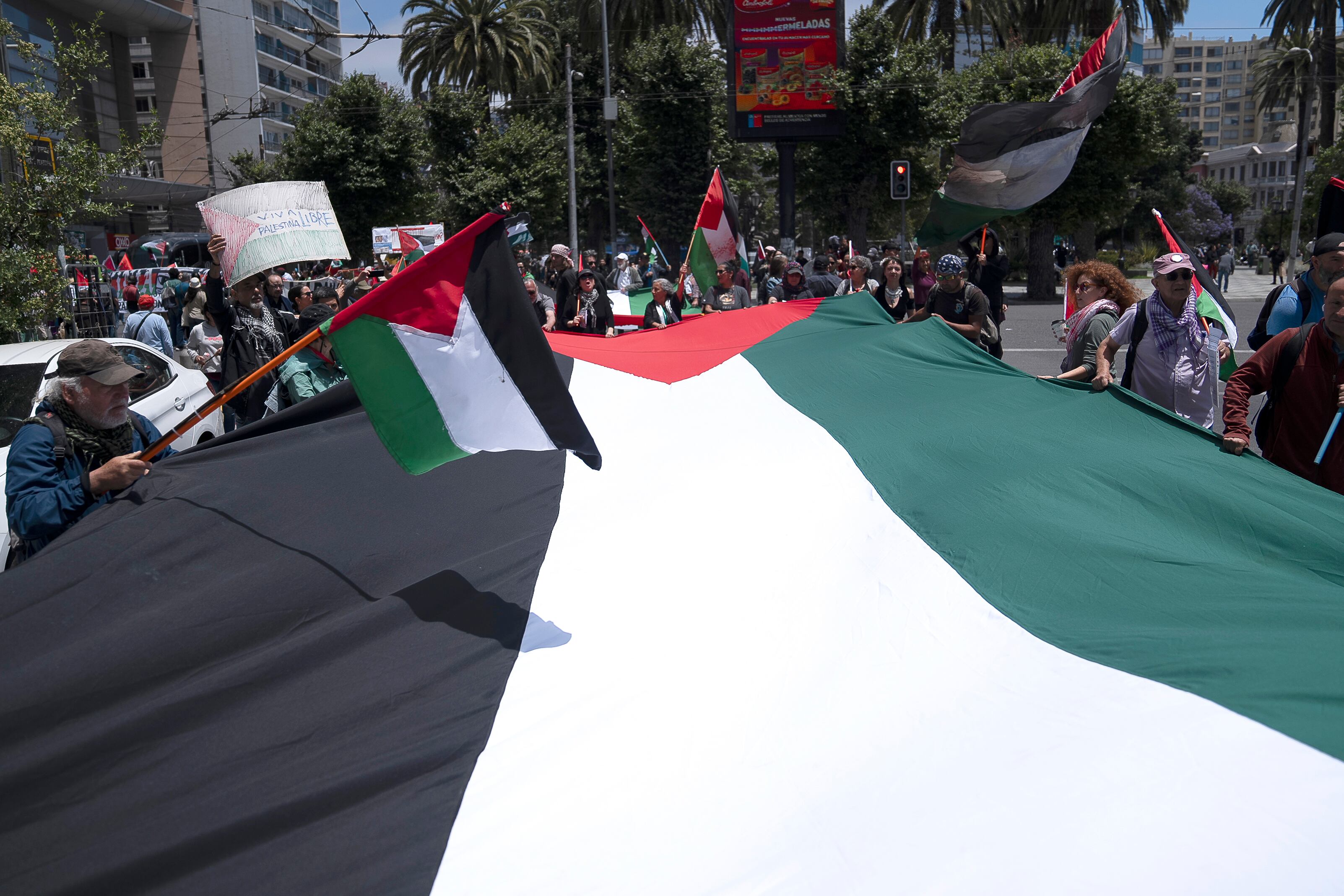 Bandera de Palestina: FOTO. EFE/ Adriana Thomasa