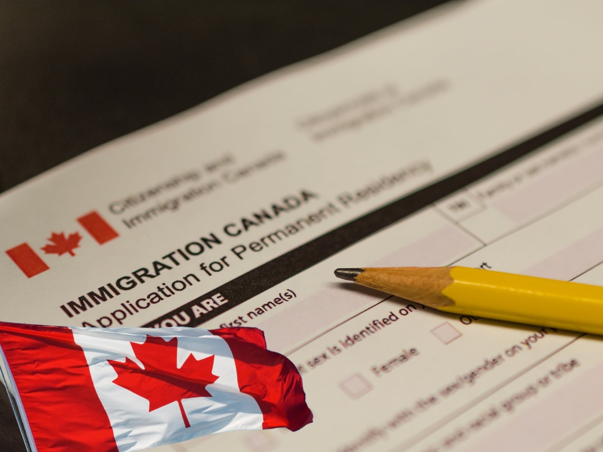 Visa de Canadá. Imagen de referencia.