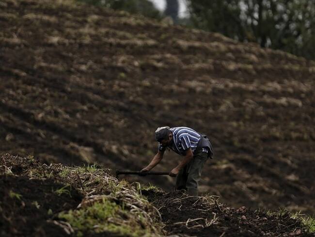 De acuerdo con la Secretaría de Agricultura, la idea es que los campesinos de Antioquia puedan acceder a estos recursos con los intereses más bajos del país.. Foto: Colprensa