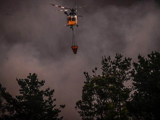 Sídney combate un fuego que ya arrasó 3 millones de hectáreas en todo Australia. Foto: Getty Images