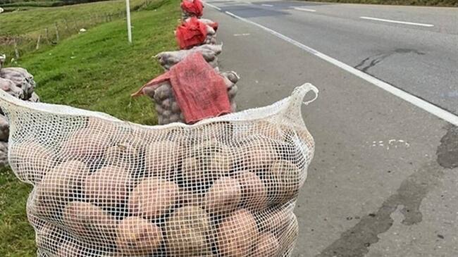 "Se requieren de una política agraria sería que nos saqué de esta situación tan penosa", dijo el agricultor don Gustavo Niño. . Foto: W