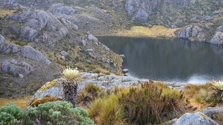 Páramo Santurbán. Foto: W