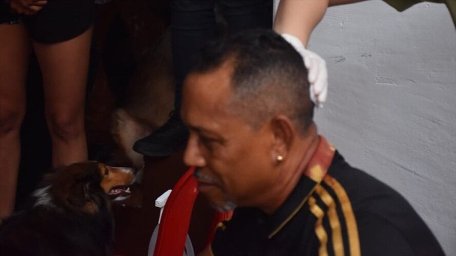 Versiones preliminares indican que los delincuentes intentaron dispararle, pero el arma, al parecer se trabó. . Foto: Cortesía