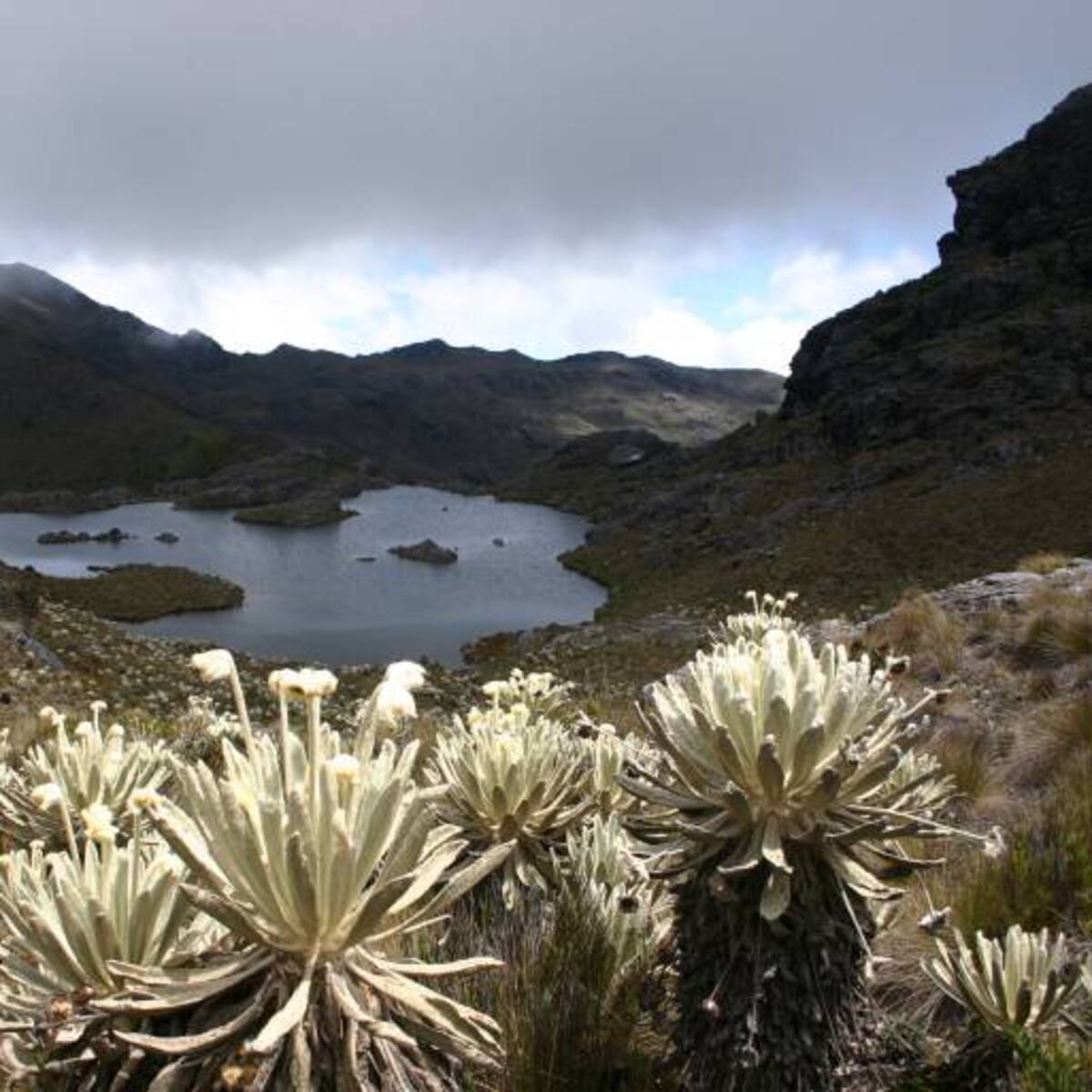 Polémica por resolución de MinAmbiente que declara la reserva temporal en Santurbán