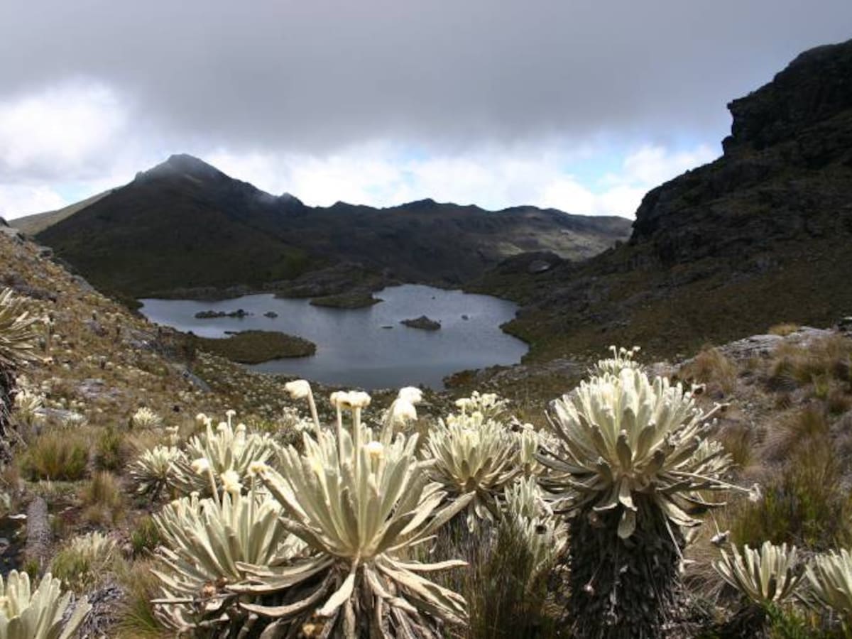 Tras siete años, Procuraduría y Defensoría alertan por incumplimiento del fallo Santurbán