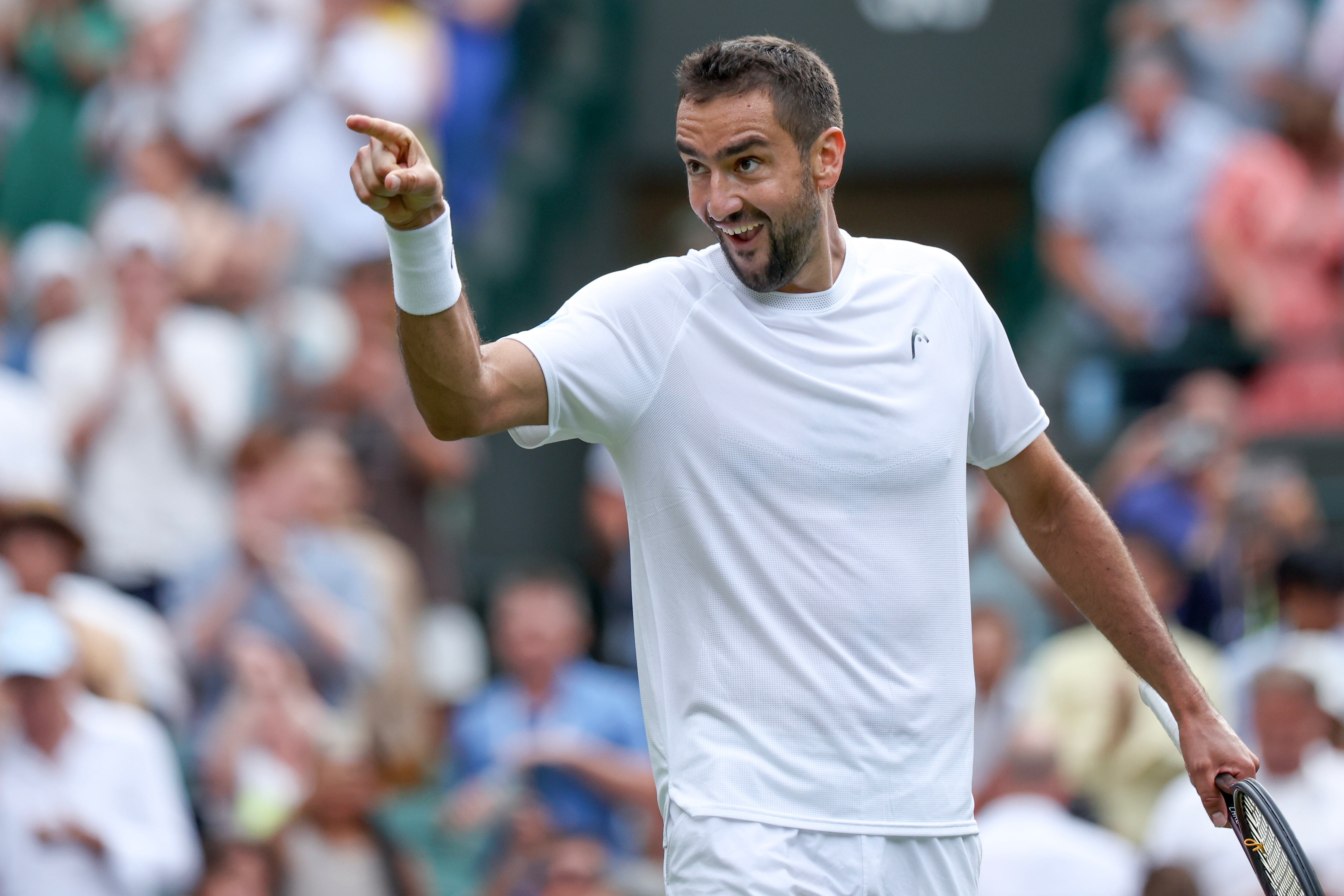 Marin Cilic. EFE