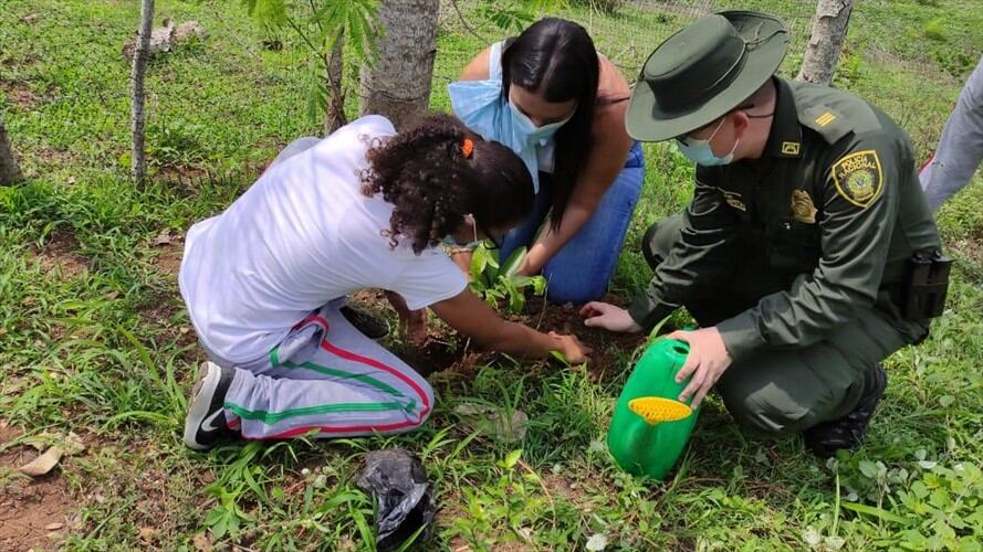 Más de 250 árboles fueron sembrados en Córdoba. Foto: prensa Policía.