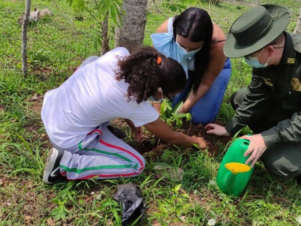 Más de 250 árboles fueron sembrados en Córdoba