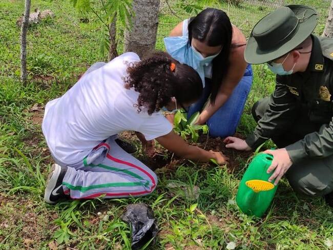Más de 250 árboles fueron sembrados en Córdoba. Foto: prensa Policía.