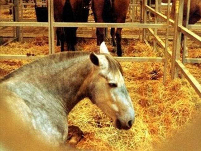 Foto: abcdesevilla.es