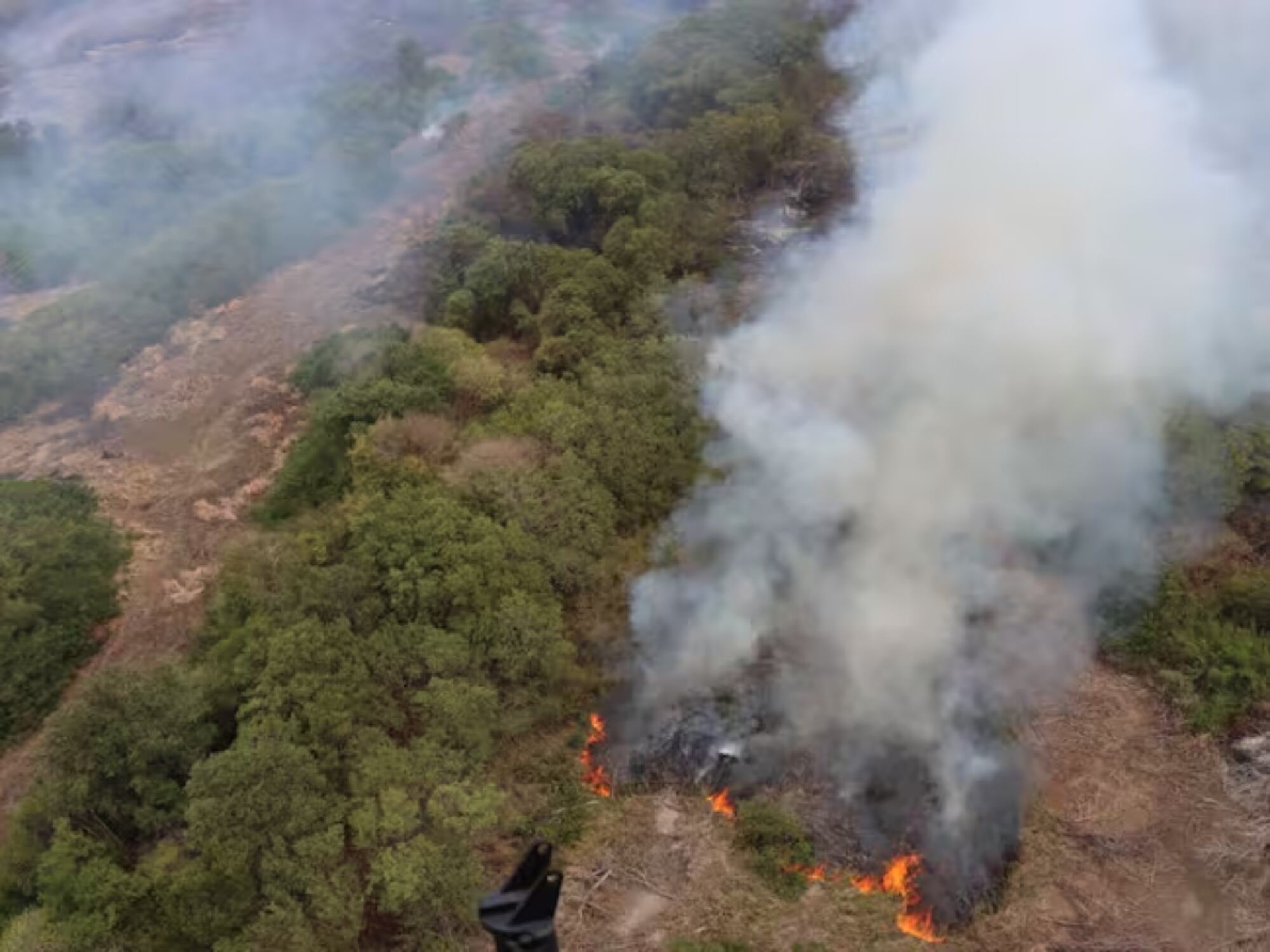 Registran nuevos incendios en el parque Isla Salamanca