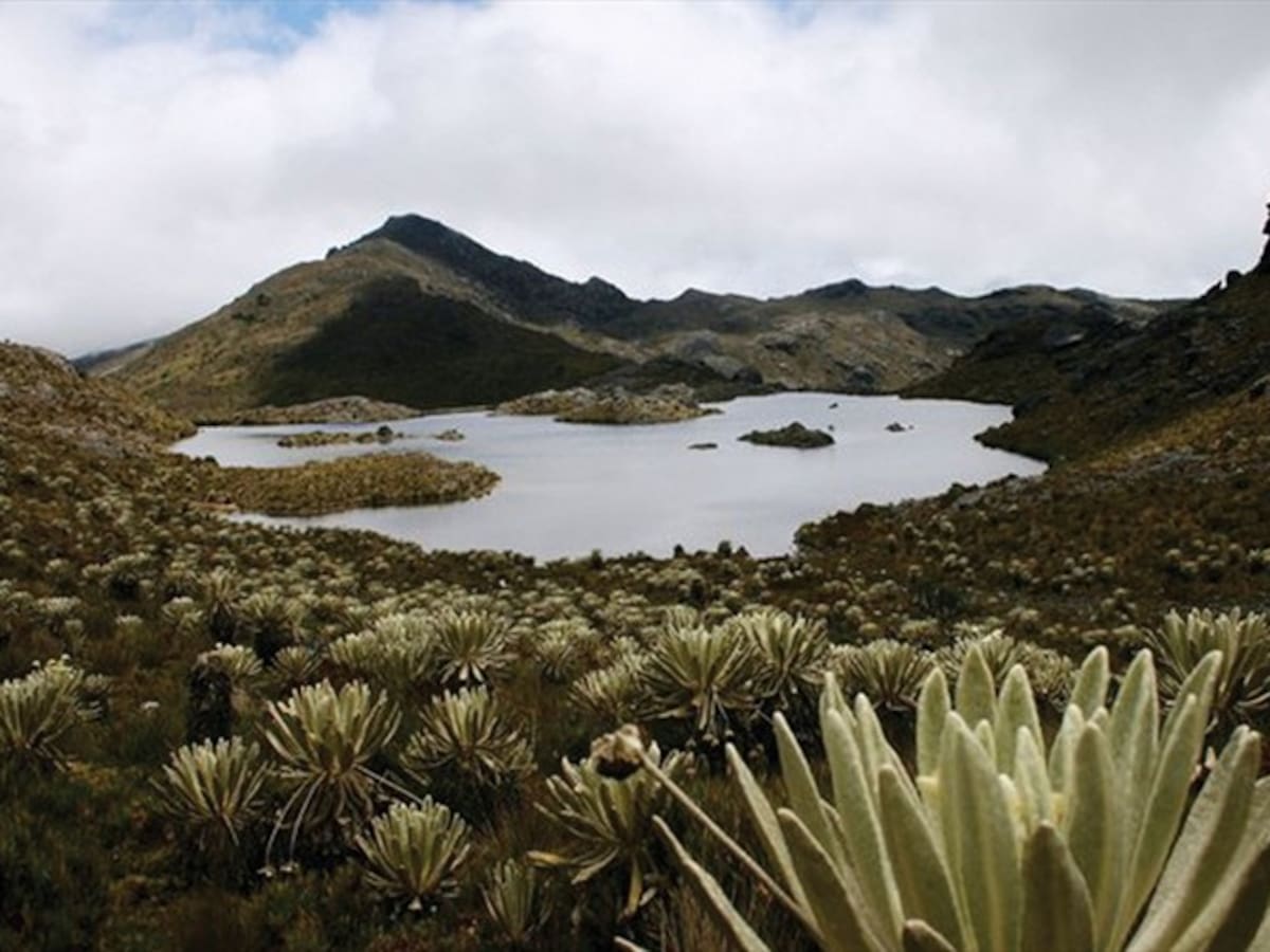 Procuraduría alerta la falta de delimitación del Páramo de Santurbán