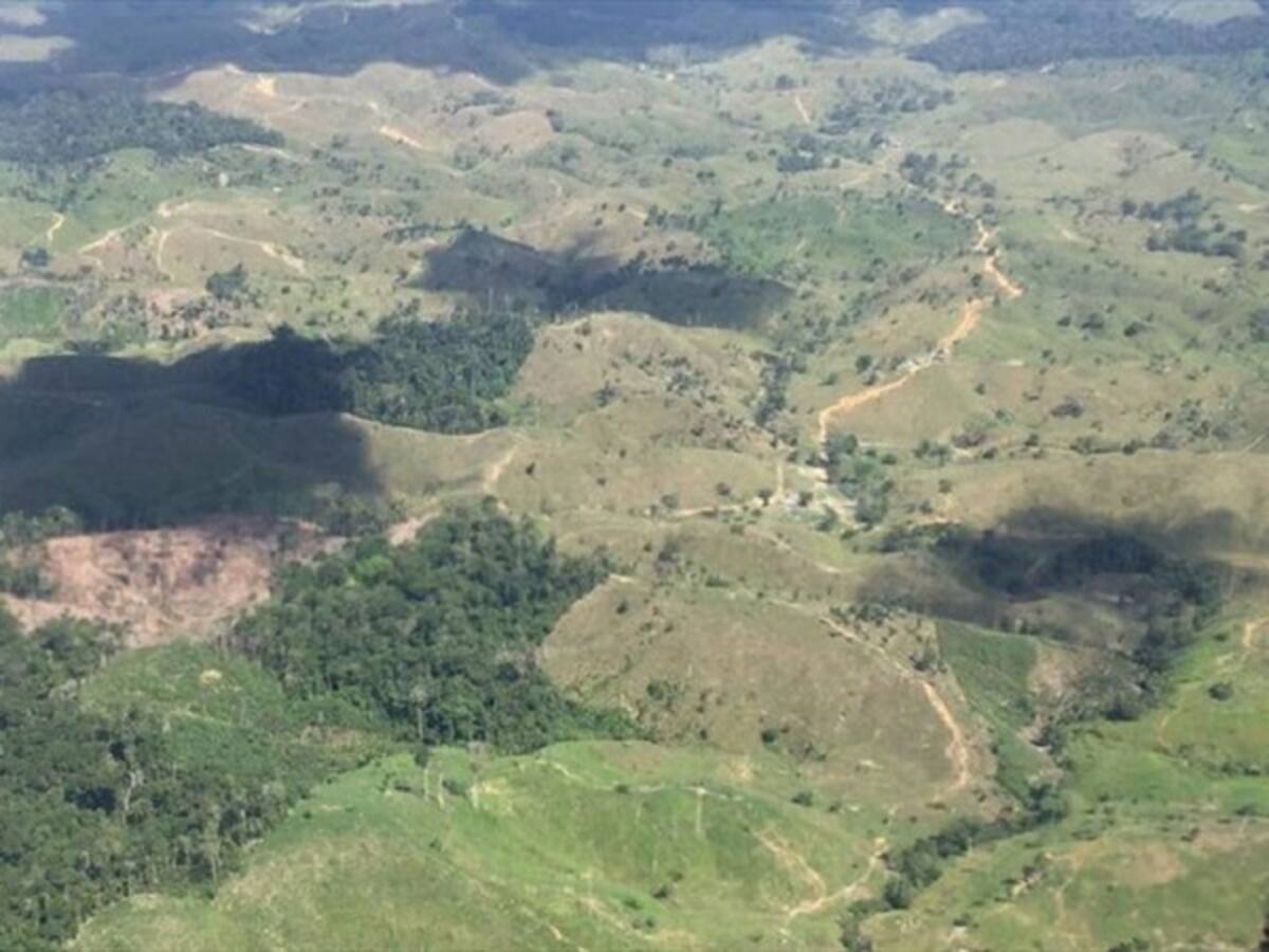 Los bomberos de Segovia, Antioquia, protegen los recursos naturales