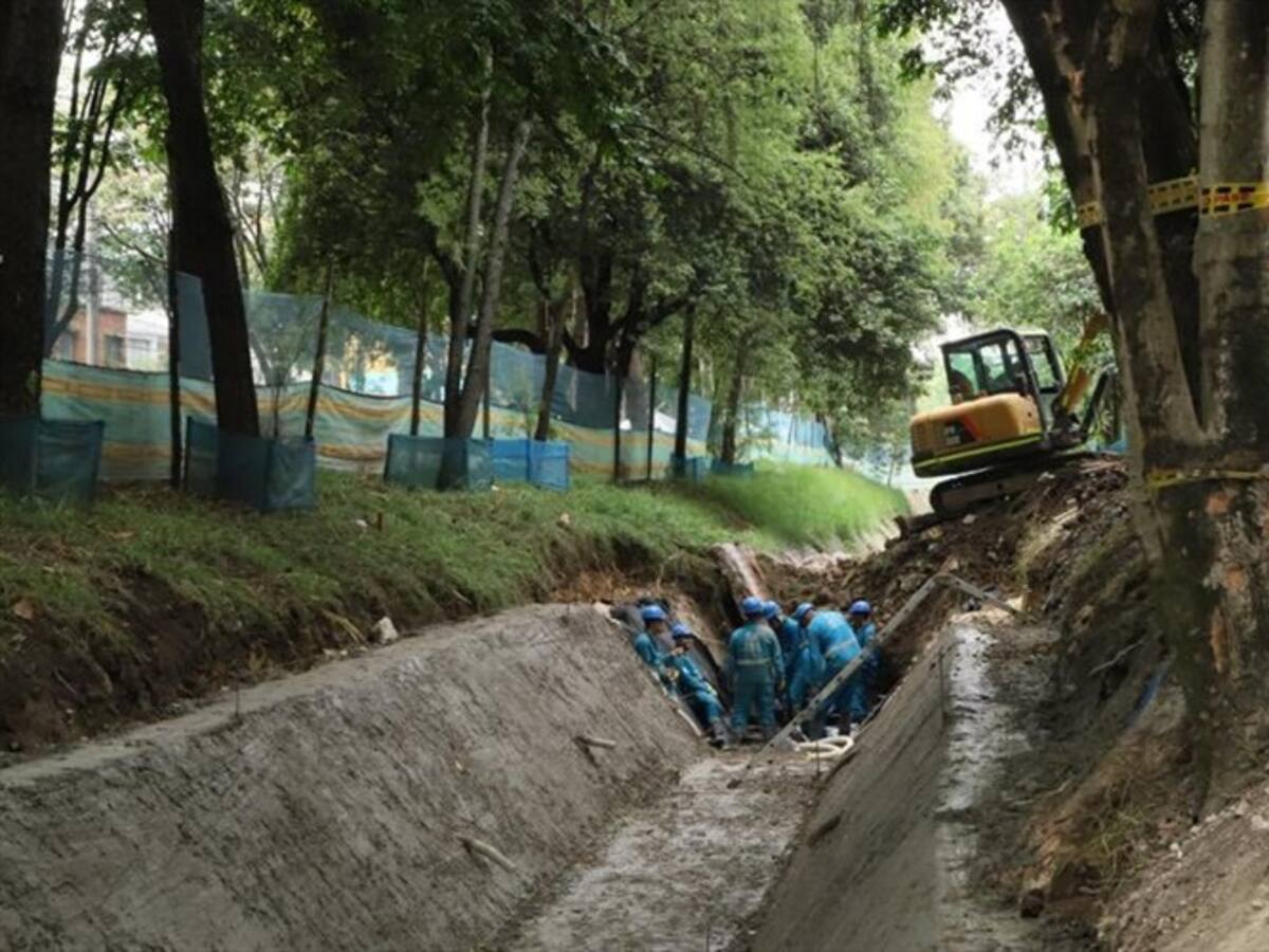 Distrito explica por qué fueron talados 16 árboles del parque El Virrey