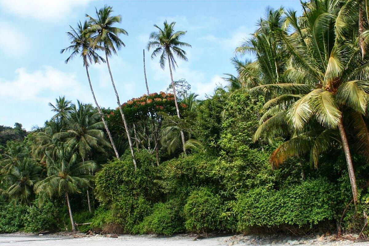 El parque se mantiene en cuarentena y se recomienda a los visitantes y también a los moradores no ingresar a la Isla Gorgona hasta nueva orden. Crédito: Parques Naturales.
