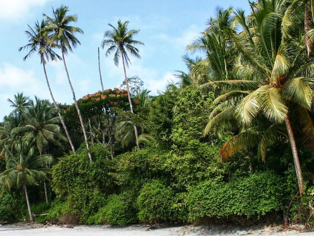 Le pido a mi Gobierno replantear proyecto en Gorgona: senadora del Pacto Histórico