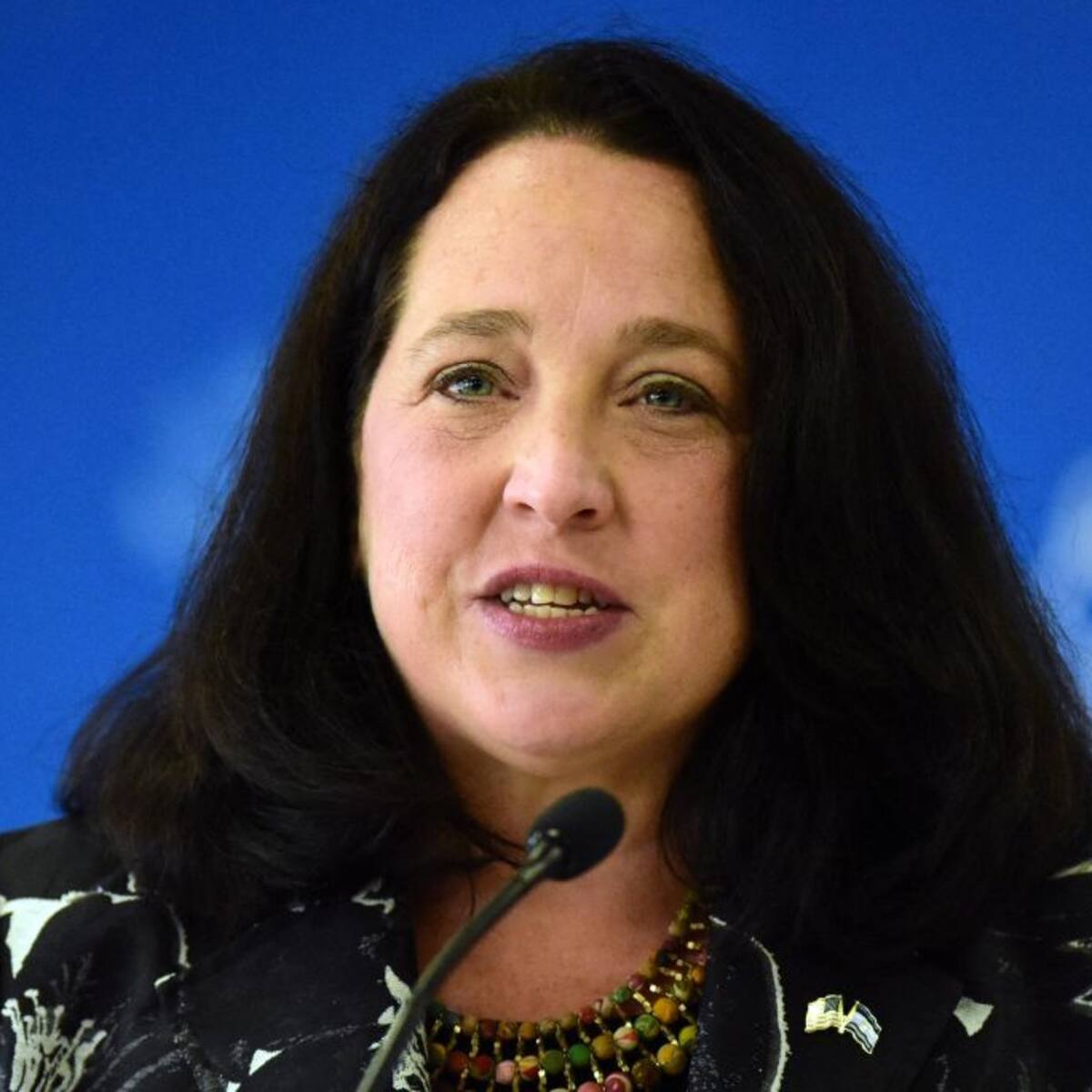 Congreso de EEUU aún no fija fecha para ratificar a embajadora en Colombia Elizabeth Manes