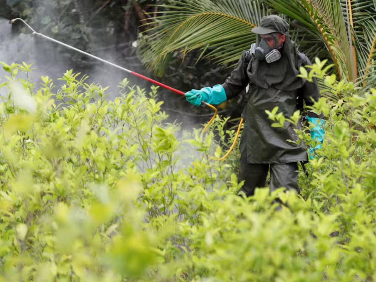 Policía firmó contrato para hacer aspersión manual terrestre con glifosato