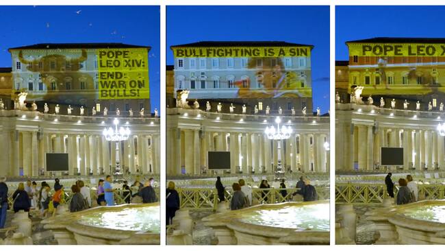 CIUDAD DEL VATICANO (VATICANO), 27/05/2025.- Imagen que combina varias fotografías en las que se ven varios mensajes contra la tauromaquia proyectados por parte de la organización ambientalista PETA en el exterior del Palacio Apostólico, donde se encuentra la residencia papal, este martes, en El Vaticano. EFE/ Peta SÓLO USO EDITORIAL/SÓLO DISPONIBLE PARA ILUSTRAR LA NOTICIA QUE ACOMPAÑA (CRÉDITO OBLIGATORIO)
