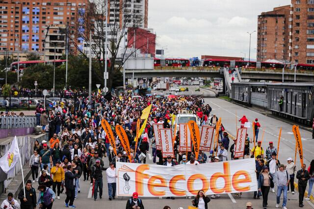 Paro Fecode 2024. Foto: Colprensa. 
