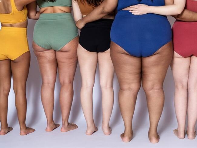 Llega la segunda edición del reality para mujeres de talla grande